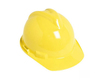 Head Protection